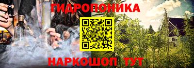 гидра Комсомольск-на-Амуре