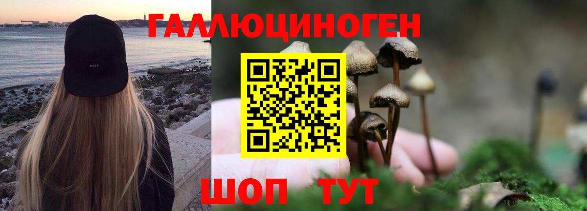 Псилоцибиновые грибы прущие грибы  Вход с VPN  Клин 