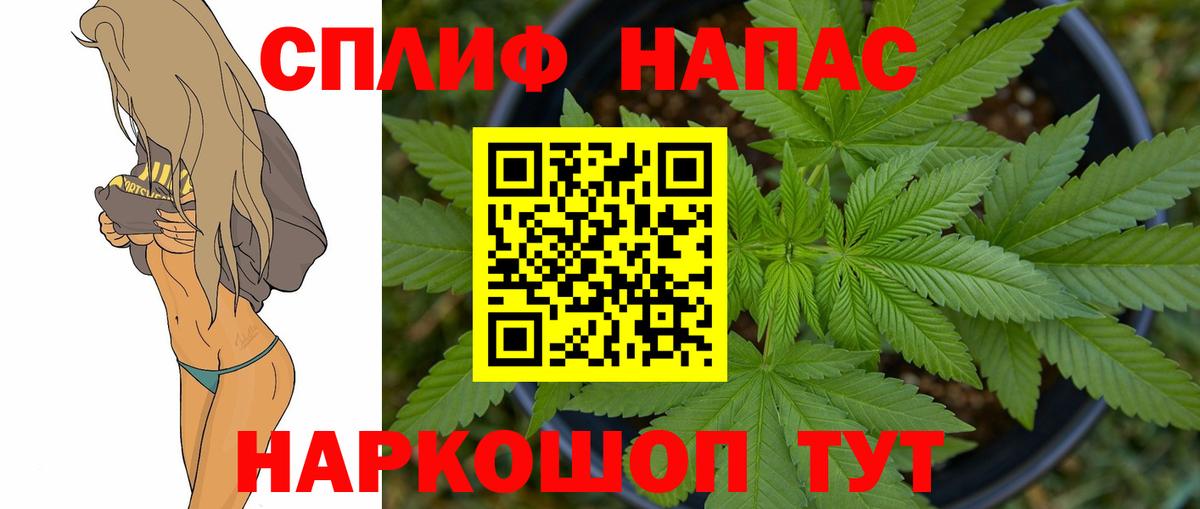 Шишки марихуана план Клин